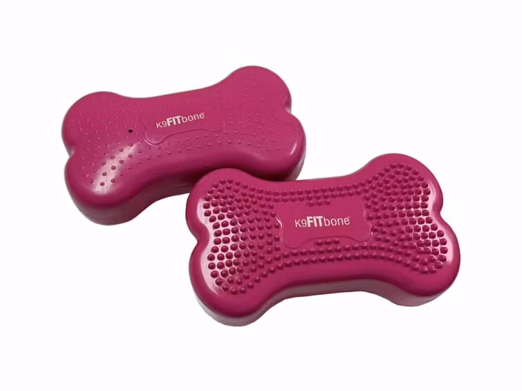 FitPaws K9Fitbone MINI Balance Disc, balansplatta 30 cm, 2 pack