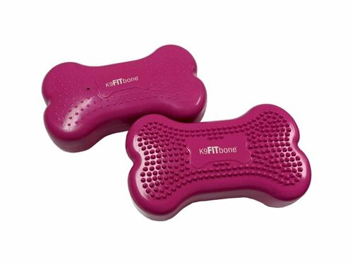 FitPaws K9Fitbone MINI Balance Disc, balansplatta 30 cm, 2 pack