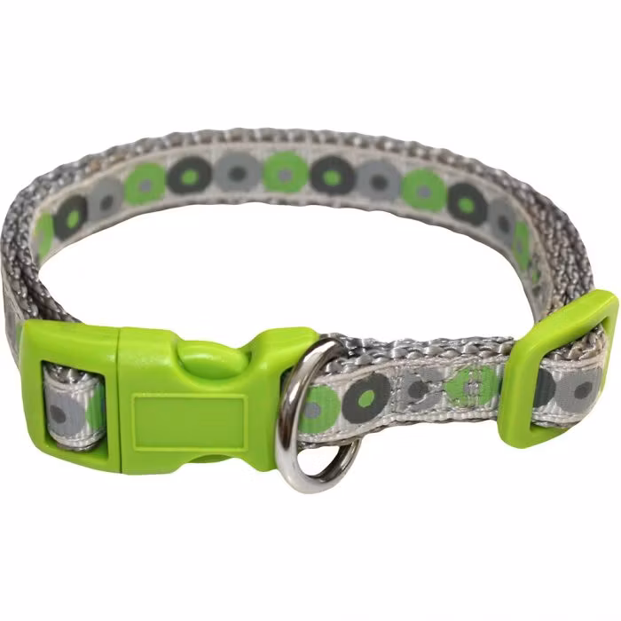 Valphalsband 22-36cm + koppel 103 cm “Little Rascal”