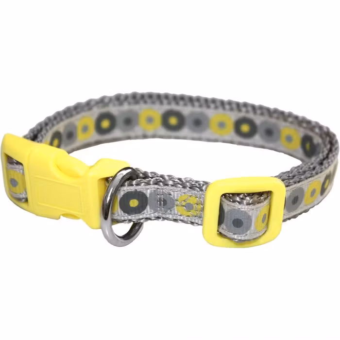 Valphalsband 22-36cm + koppel 103 cm “Little Rascal”