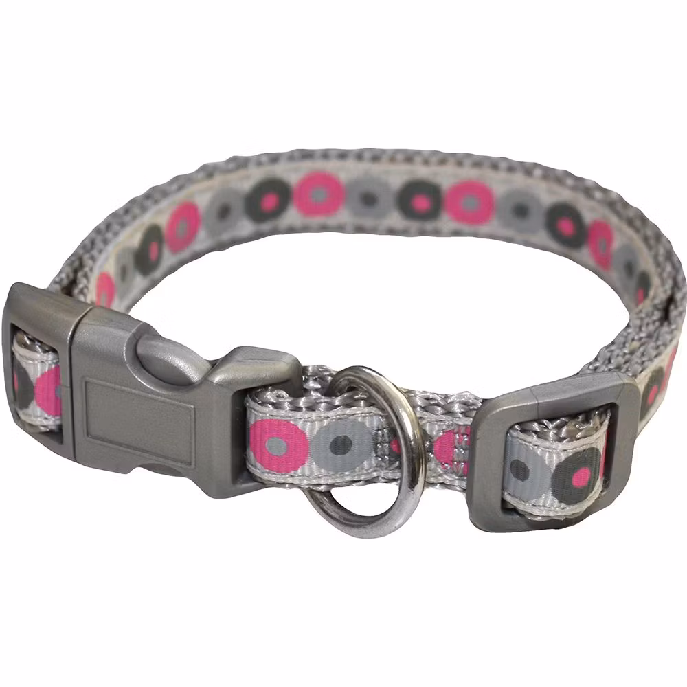 Valphalsband 22-36cm + koppel 103 cm “Little Rascal”