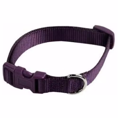 Halsband i nylon 10mm/20-30cm Svart