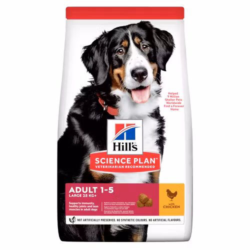 HILL'S SCIENCE PLAN Large Breed Adult med Kyckling(12 kg)