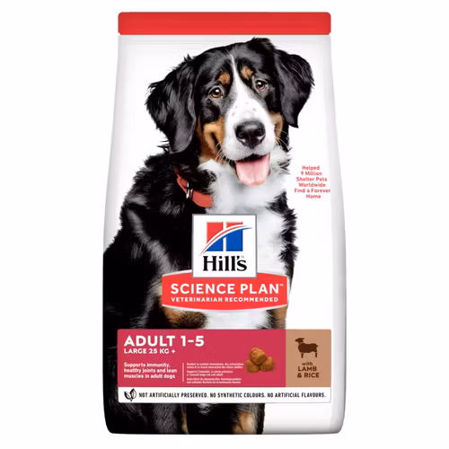 HILL'S SCIENCE PLAN Large Breed Adult med Lamm & Ris (12 kg)