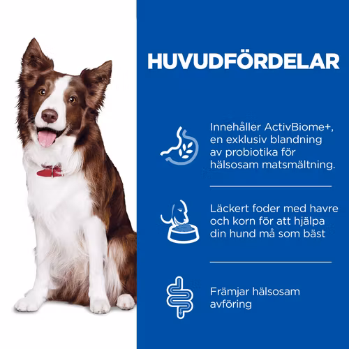 HILL'S SCIENCE PLAN Perfect Digestion Medium Adult 1+  med Kyckling & Råris (2,5 kg &12 kg)