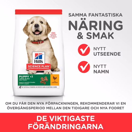 HILL'S SCIENCE PLAN Large Breed Valpfoder med Kyckling (12 kg)