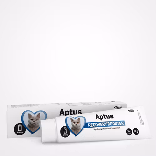 Aptus® Recovery Booster till katt- vid nedsatt aptit eller under rekonvalescens 60 gram pasta