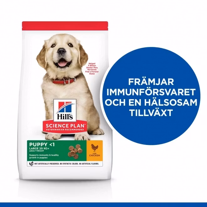 HILL'S SCIENCE PLAN Large Breed Valpfoder med Kyckling (12 kg)