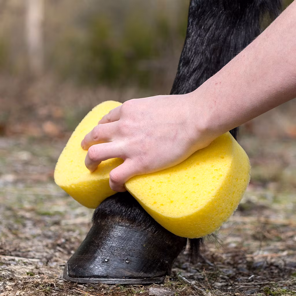 Tvättsvamp Vakuumförpackad