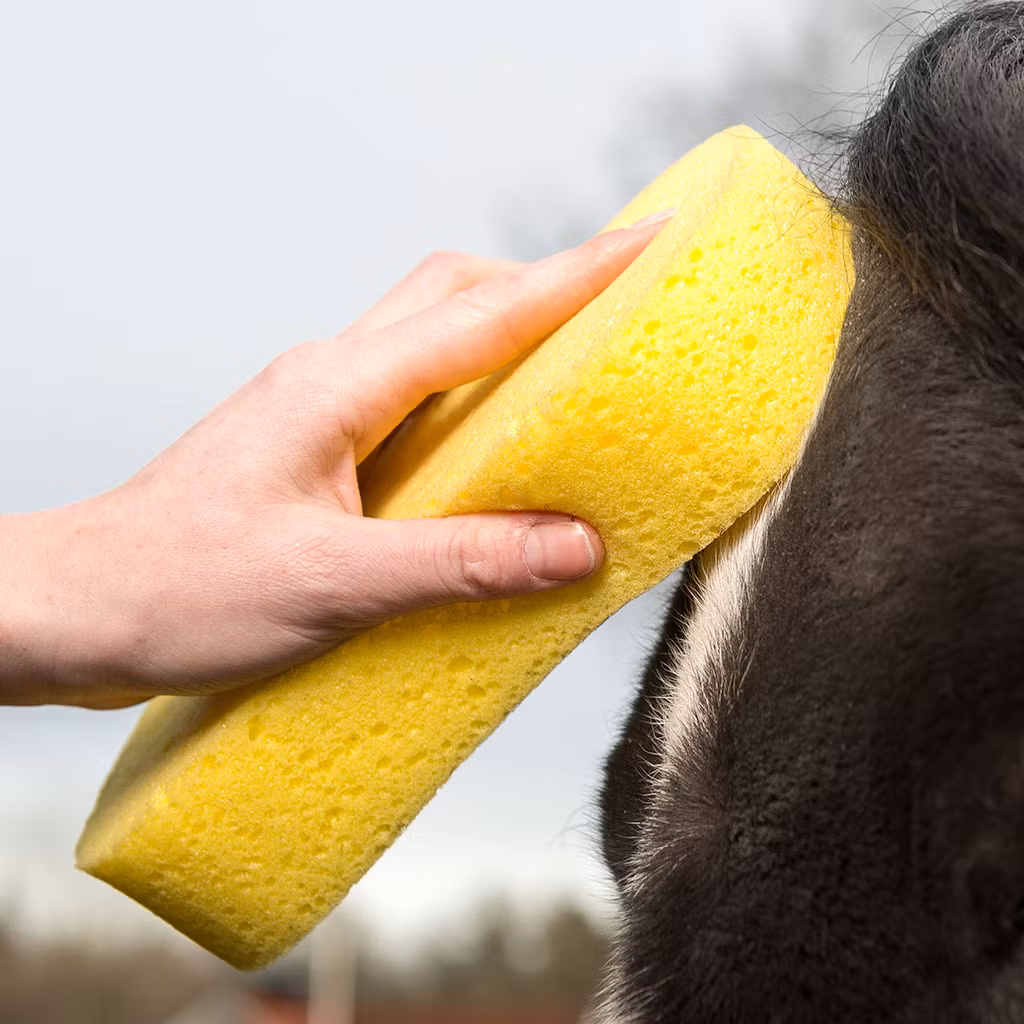 Tvättsvamp Vakuumförpackad