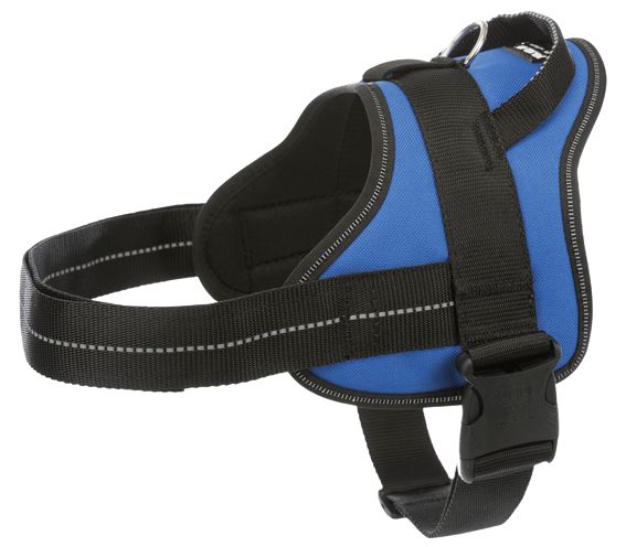 Julius-K9® Pure, sele,Mini-Mini/S: 40-53 cm/22 mm