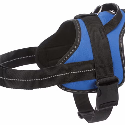 Julius-K9® Pure, sele,Mini-Mini/S: 40-53 cm/22 mm
