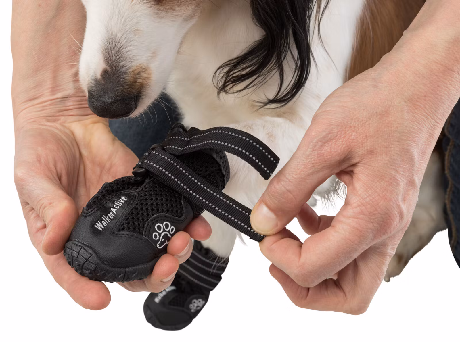 Hundskor/Skyddssko "Walker active" 2-pack- skydd i värme och kyla