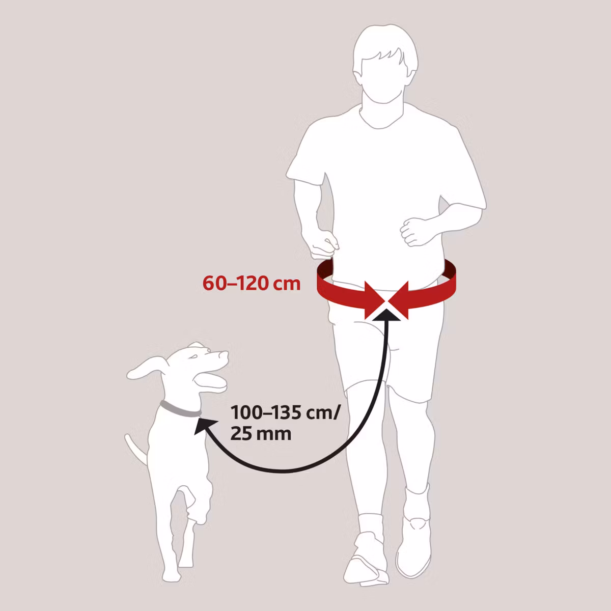 Midjebälte/HandsFreebälte med expander 60-120 cm, max 40 kg