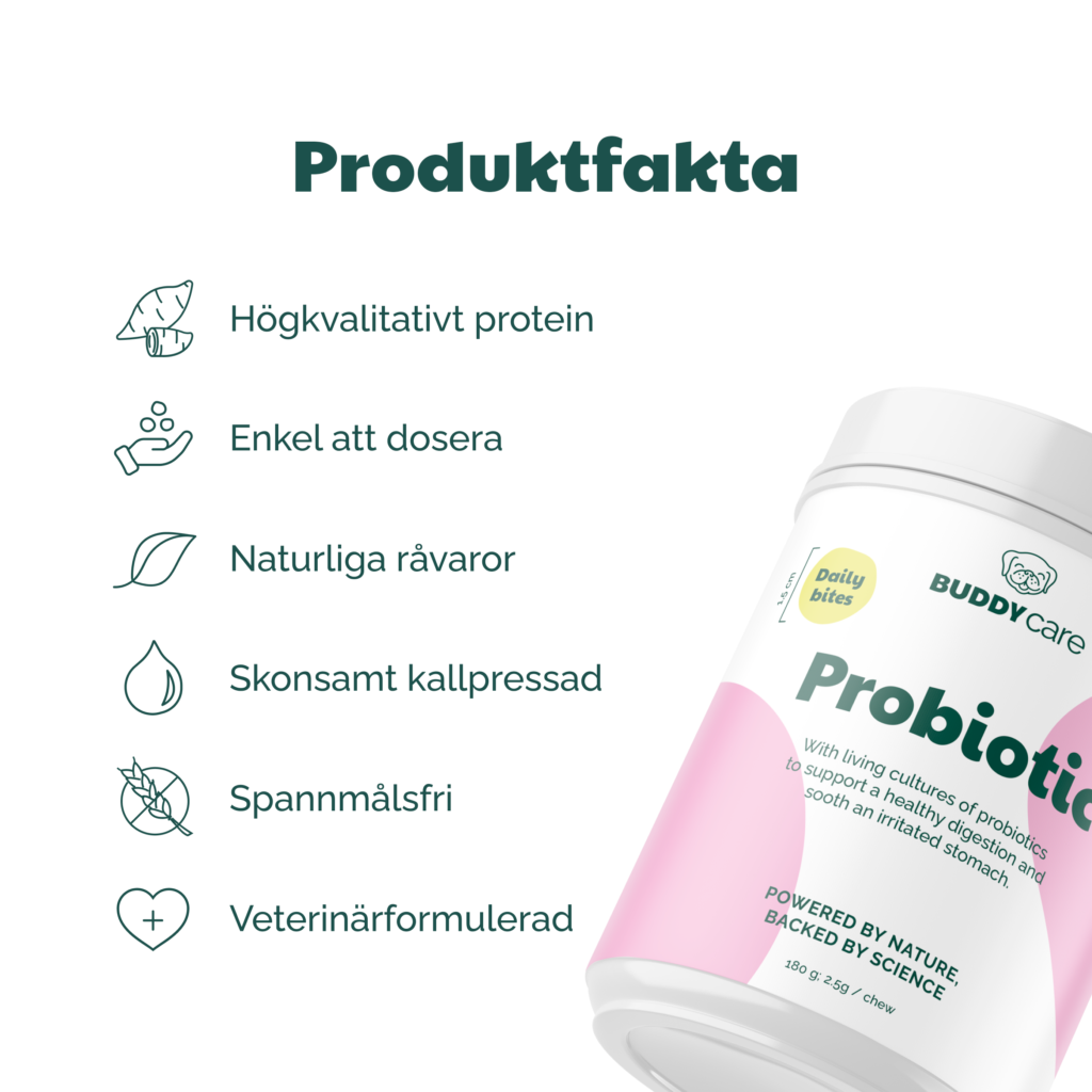 Buddycare Probiotic- matsmältning/immunförsvar - 72 tuggbitar