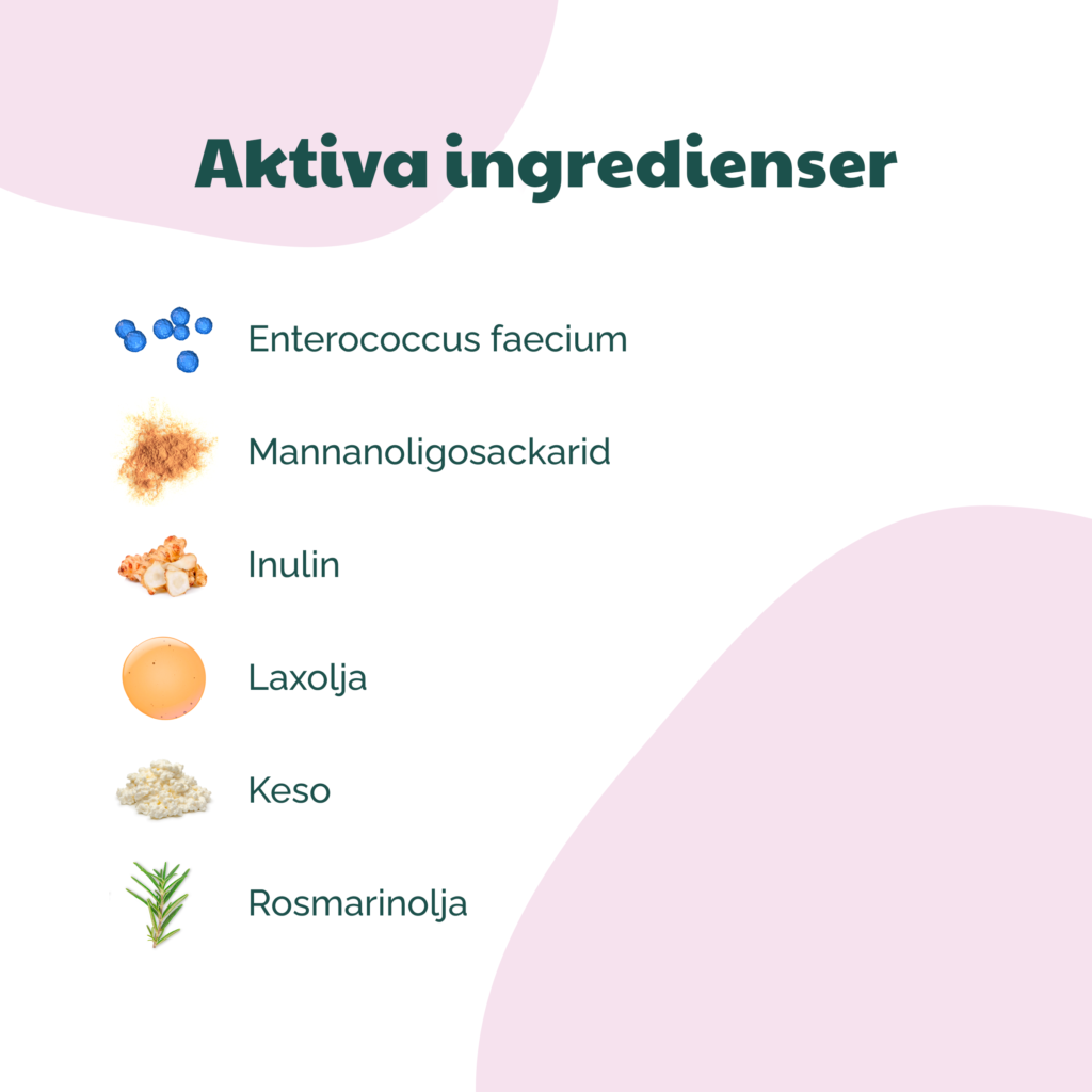 Buddycare Probiotic- matsmältning/immunförsvar - 72 tuggbitar