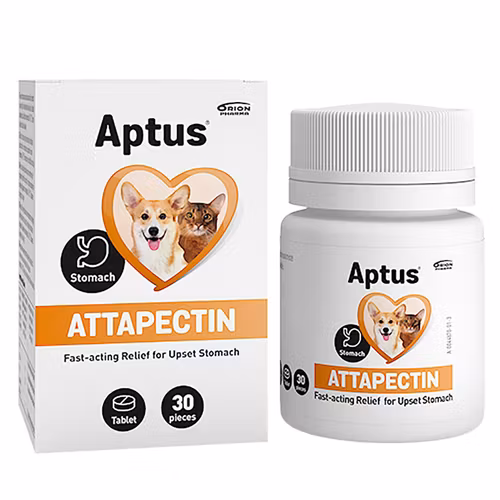 Aptus ® Attapectin Tabletter- tillfälliga störningar i mag- och tarmkanal 30 tabl.
