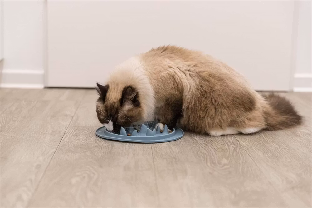 Slow Feed fodermatta, TPE ø 24 cm