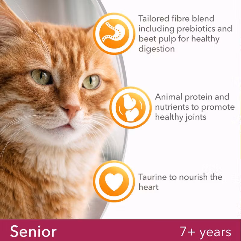 Iams Cat for Vitality Senior +7. Färsk kyckling 10 kg