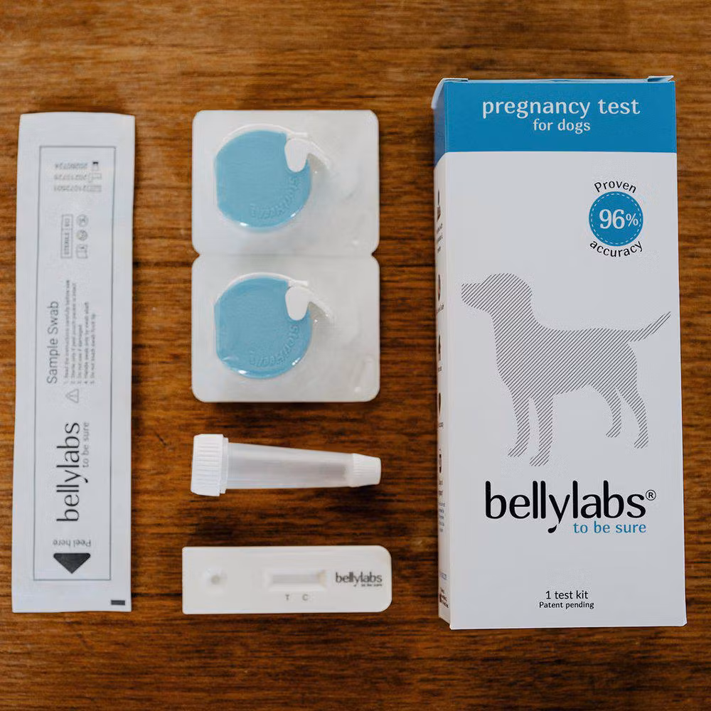Bellylabs Dräktighetstest för hund