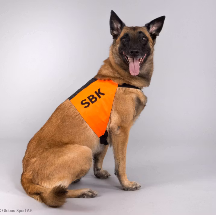 Tjänsteteckent "SBK"