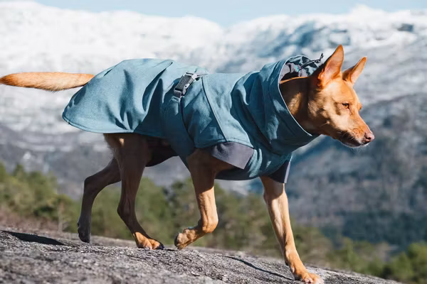Hurtta Expedition Parka Hundjacka Färg: blåbär Stl. 20- 60 cm