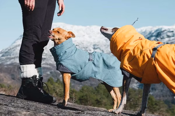 Hurtta Expedition Parka Hundjacka Färg: blåbär Stl. 20- 60 cm
