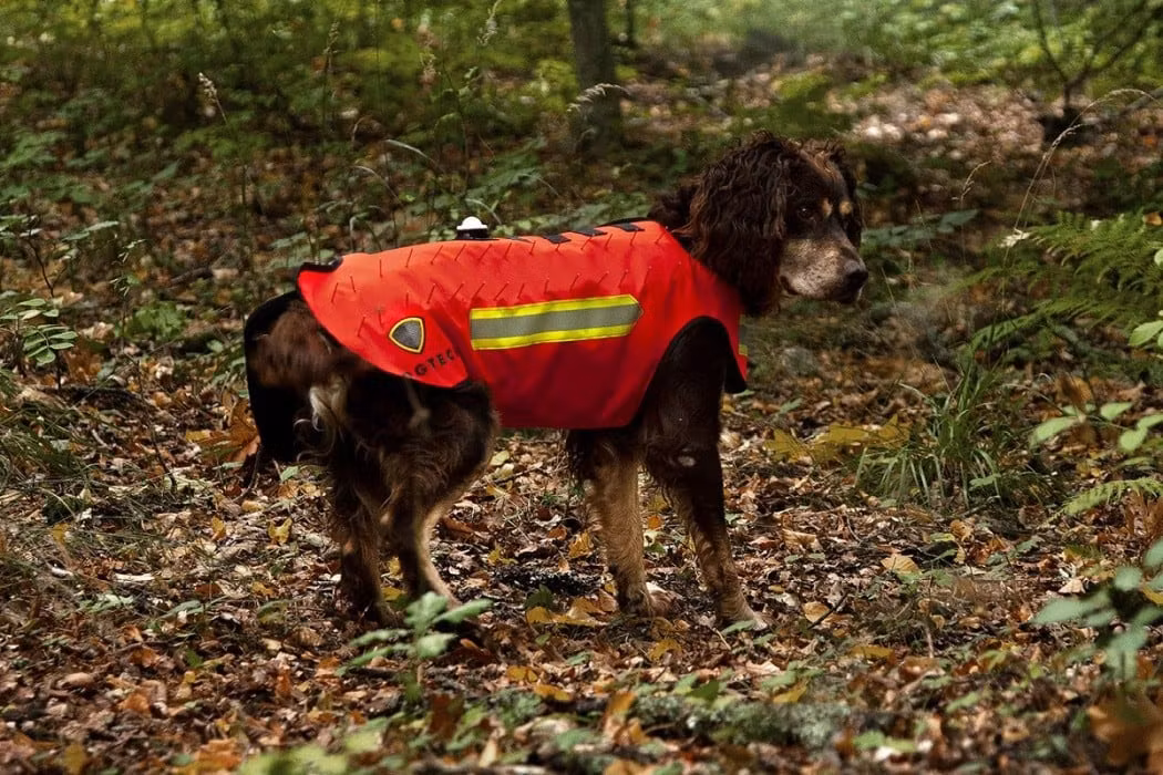 Ad On- vargstål till skyddsväst Dogtech One 2022