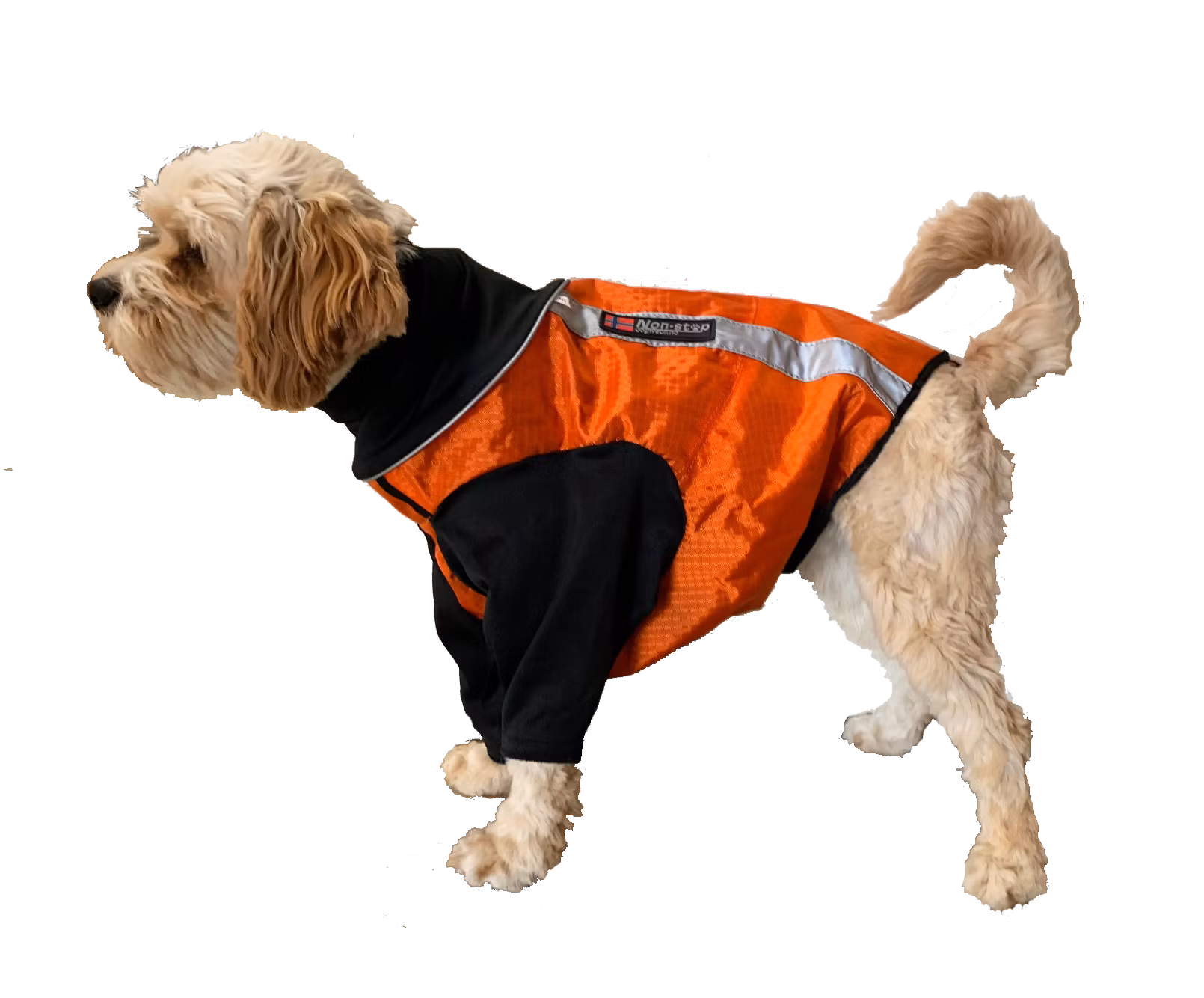 Non-stop Dogwear Supertäcke M