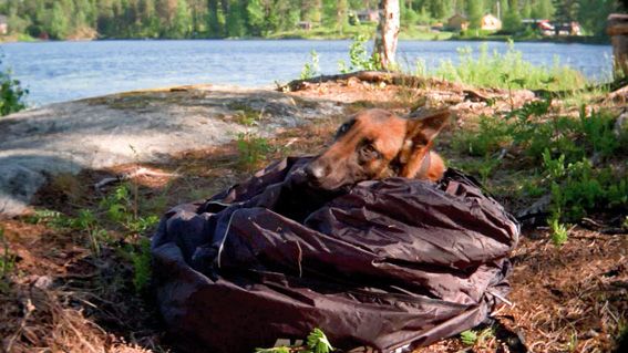 Non-stop Dogwear Värmesäck/bädd fodrad, S,M & L