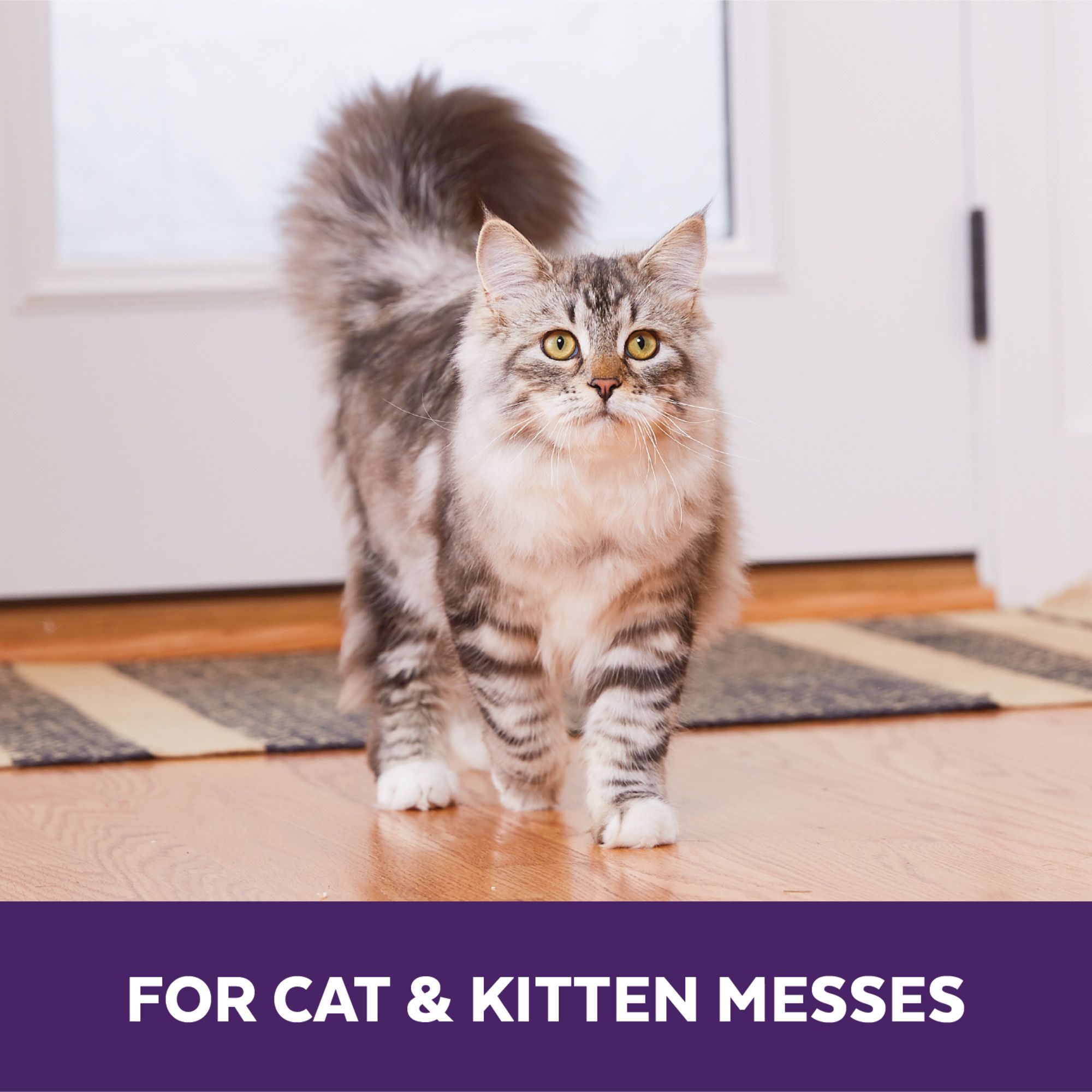 Urine Off Cat & Kitten Spray 118 ml & 500 ml