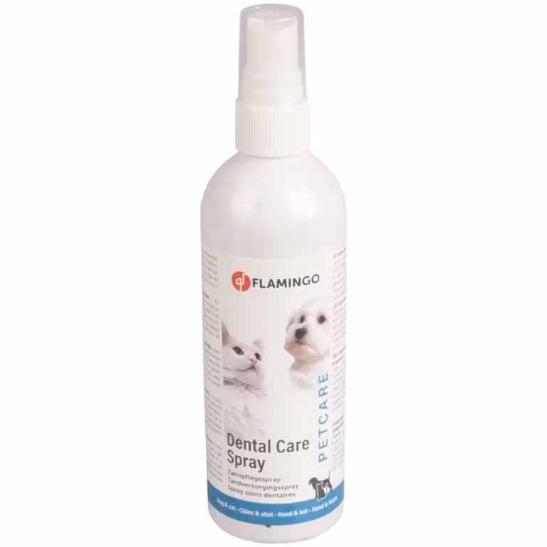 Tandhygienspray, mint 175 ml