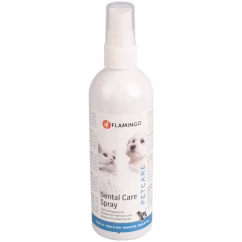 Tandhygienspray, mint 175 ml
