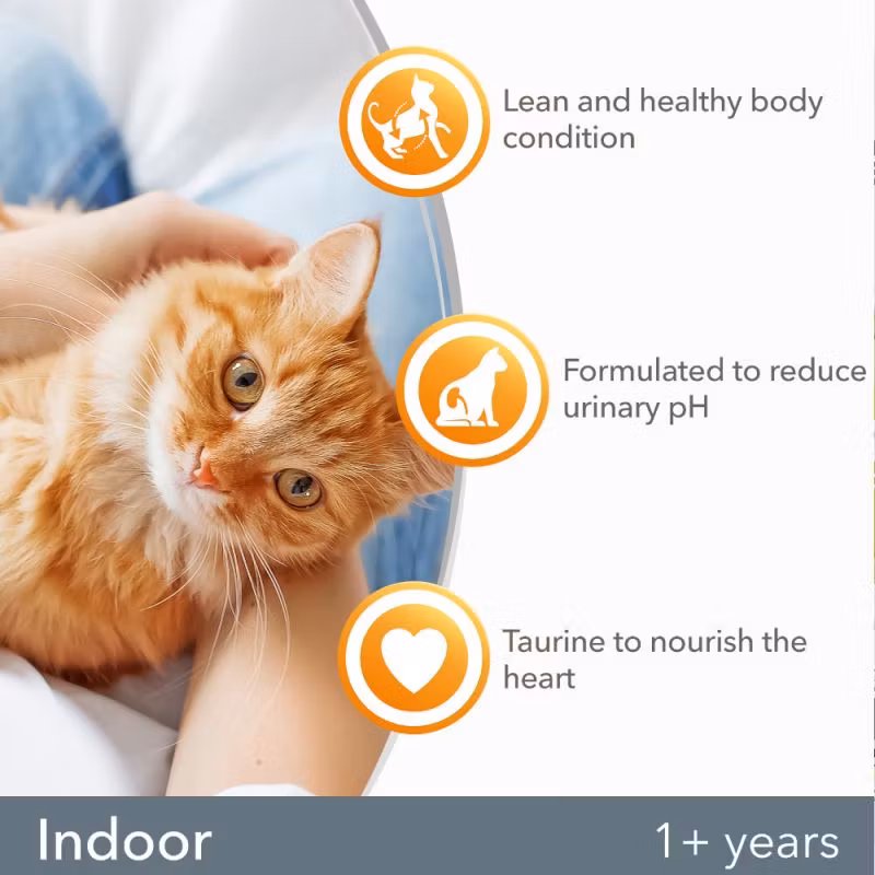 IAMS Dry Food Indoor Adult Fresh Chicken 1+ - Kyckling 10 kg