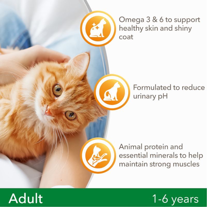 IAMS Cat Adult for Vitality Adult +1. Färsk kyckling 10 kg