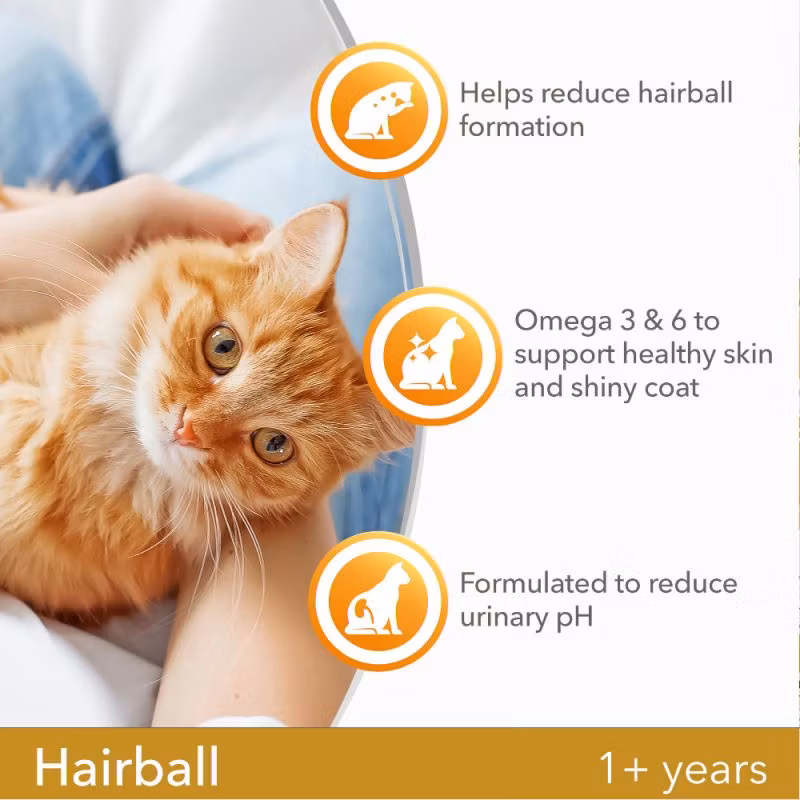 IAMS Cat for Vitality Hairball 1+. Färsk kyckling 10 kg