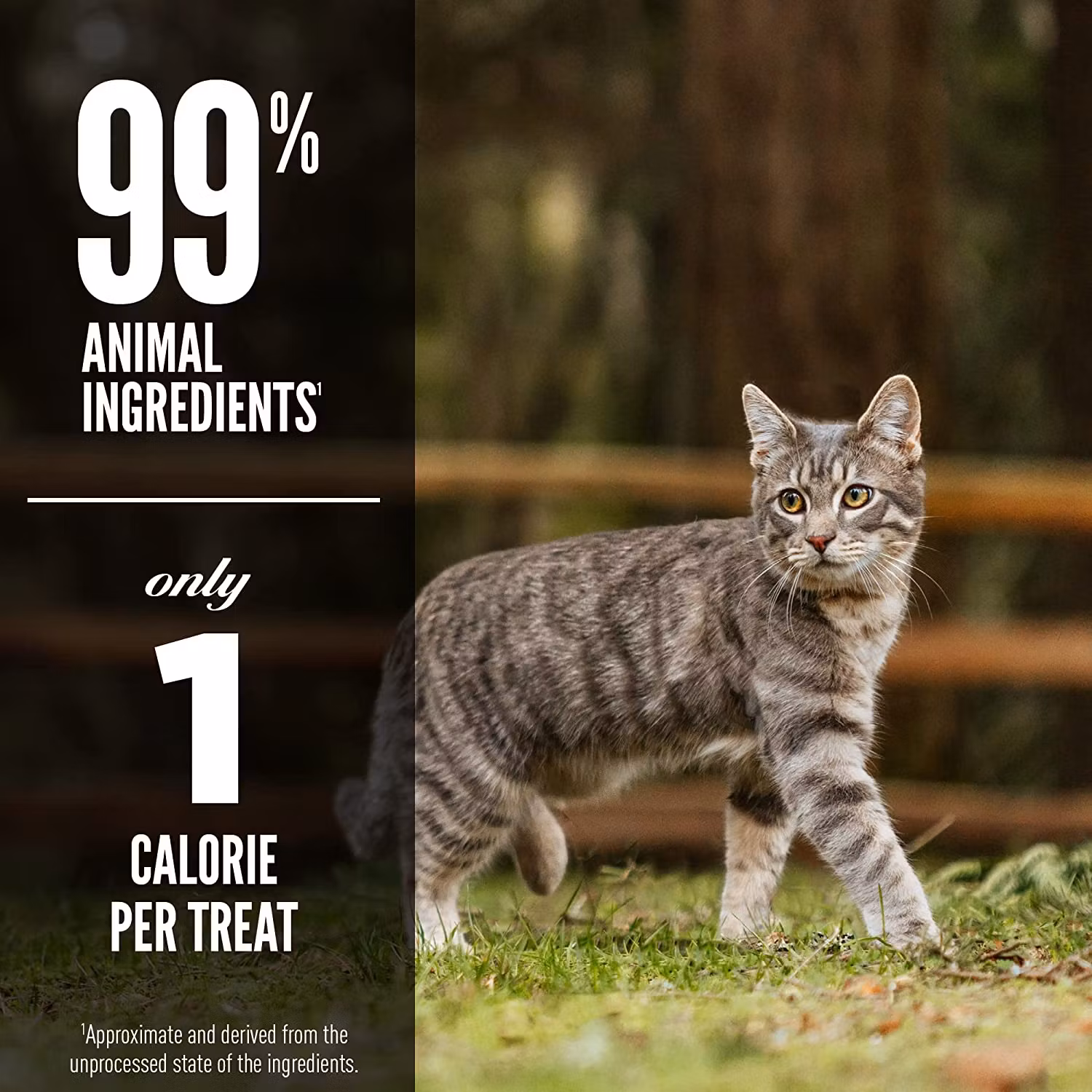 Orijen Cat Treats Tundra/Hjort & Fisk - Frystorkat Kattgodis 35 gram