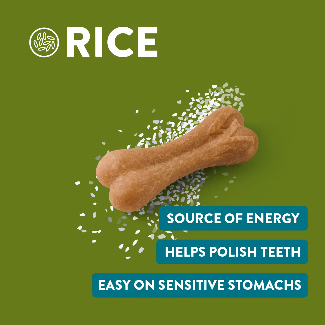 Whimzees® Vegetariska Risben Ricebone Dental Chews Large 9 styck