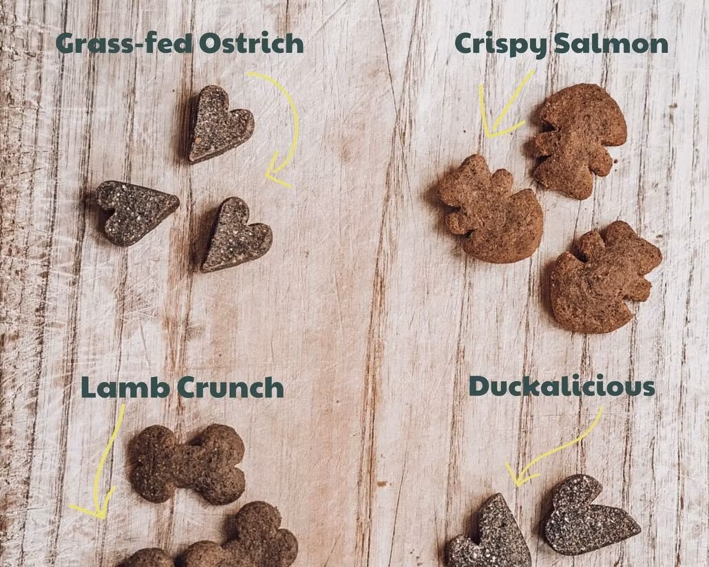 Buddy Grass-fed Ostrich/Struts o björnbär 200 g