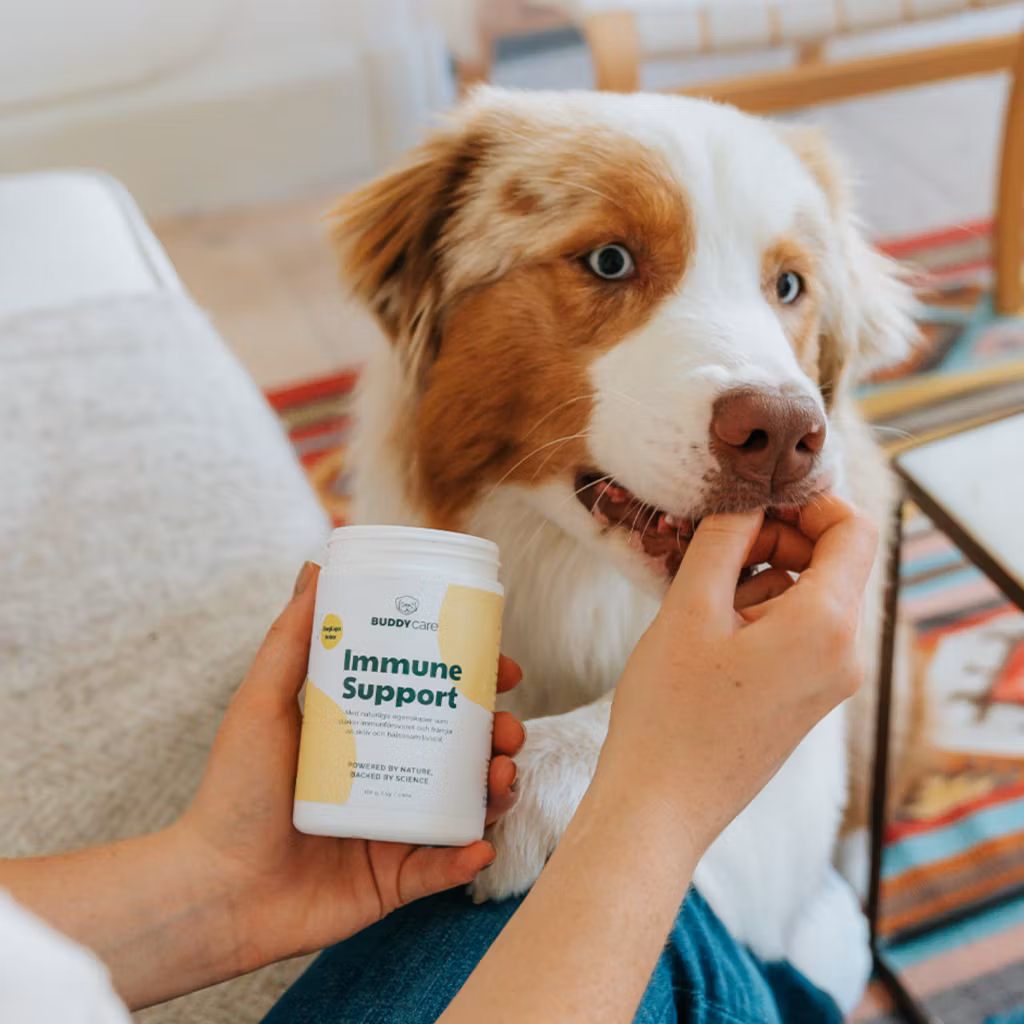 Buddycare Immune Support Chews - vitaminer, mineraler och antioxidanter - 72 bitar