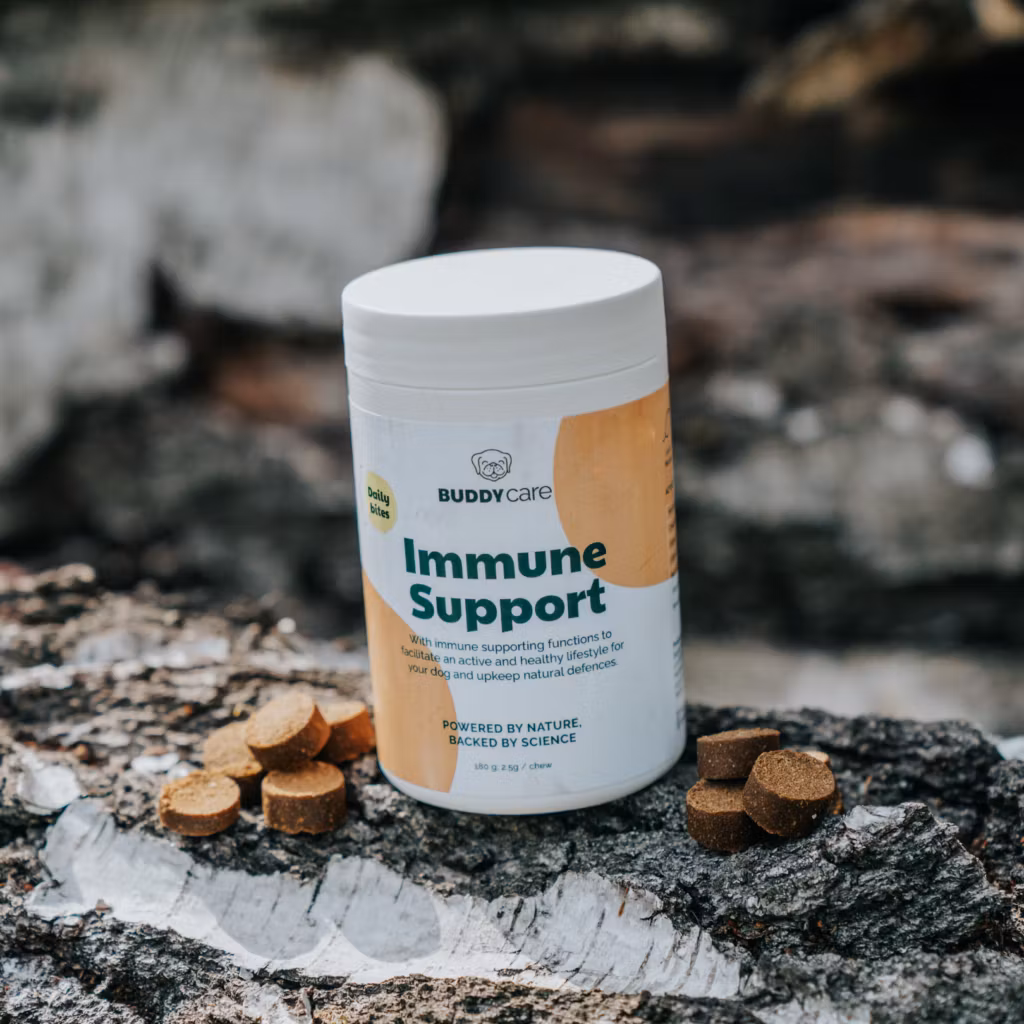 Buddycare Immune Support Chews - vitaminer, mineraler och antioxidanter - 72 bitar