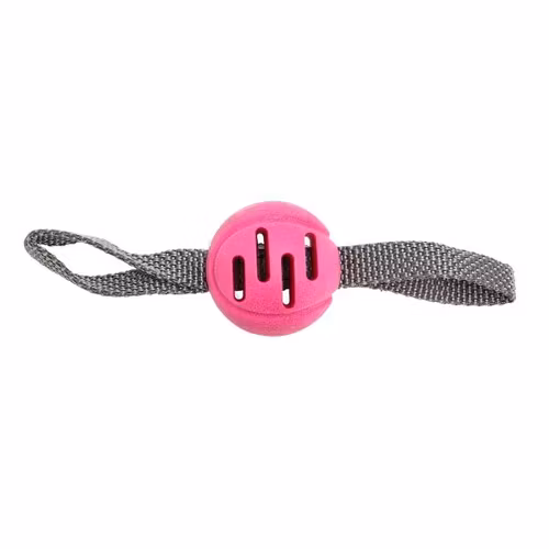 FetchBall Rosa ⌀6cm