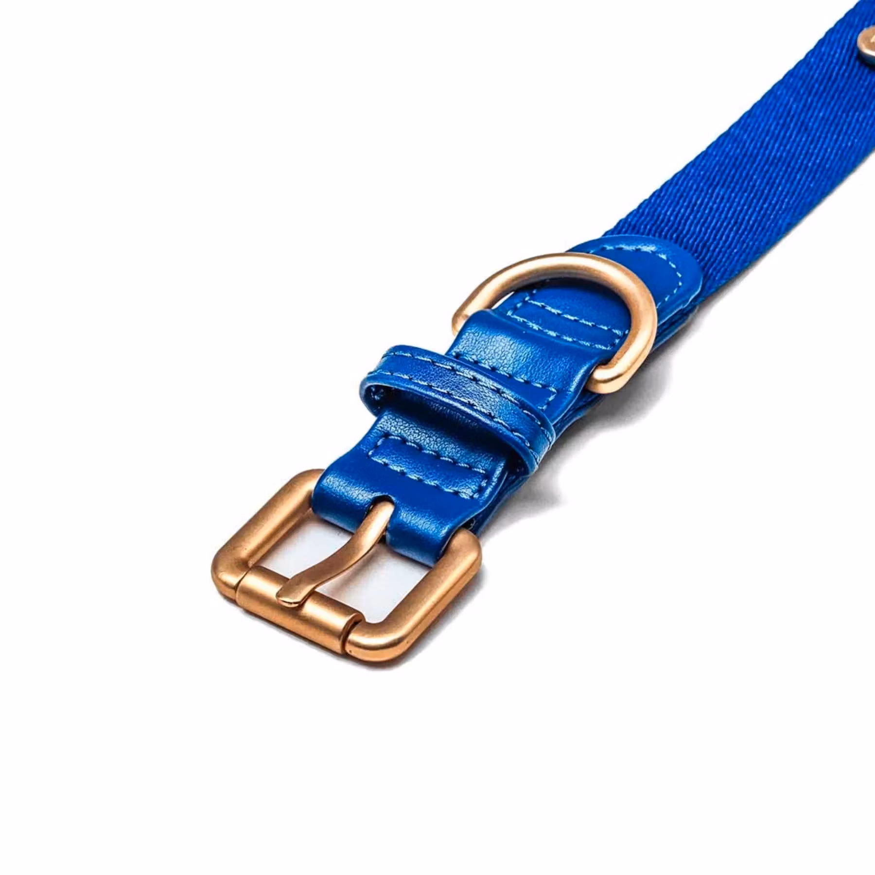 Barkalot halsband. Återvunna plastflaskor Veganskt läder. Imperial Blue XS-XL