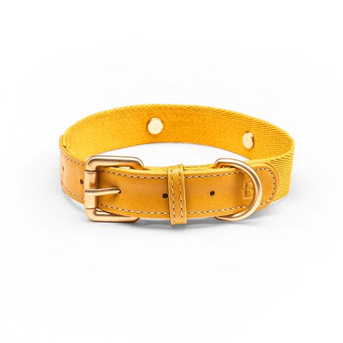 Barkalot halsband, Återvunna plastflaskor Veganskt läder.Golden Yellow XS-XL