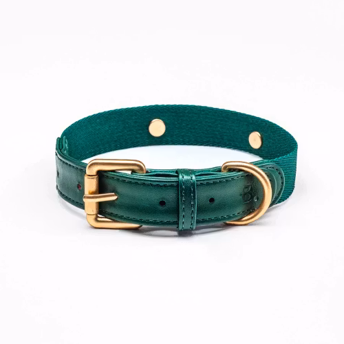 Barkalot Halsband, Återvunna plastflaskor Veganskt läder.Emerald Green XS-XL