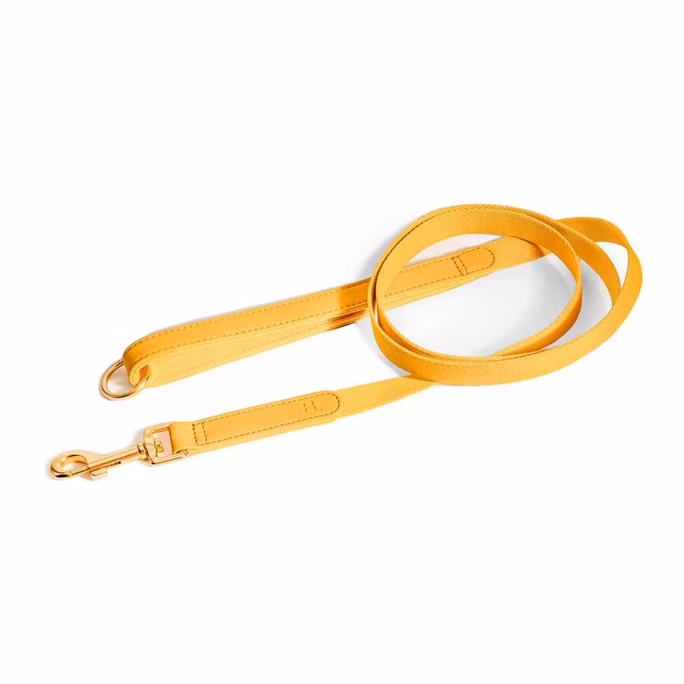 Barkalot Koppel, Återvunna plastflaskor Veganskt läder. Golden Yellow 150 cm