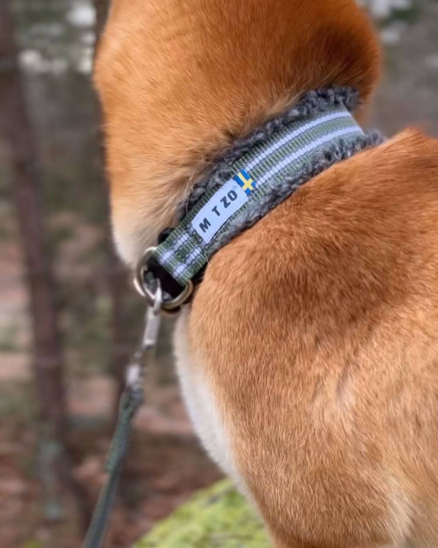 Metizo Halsband,halvstryp med foder av grå fårskinnsimitation Svart stl 30 - 50 cm