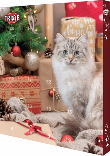 Adventskalender för katter