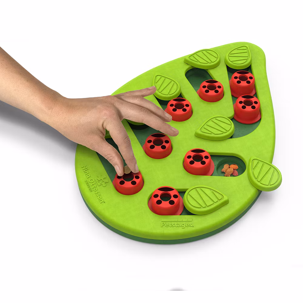 Buggin’ Out Puzzle & Play- Aktiveringsleksak Katt Nina Ottosson