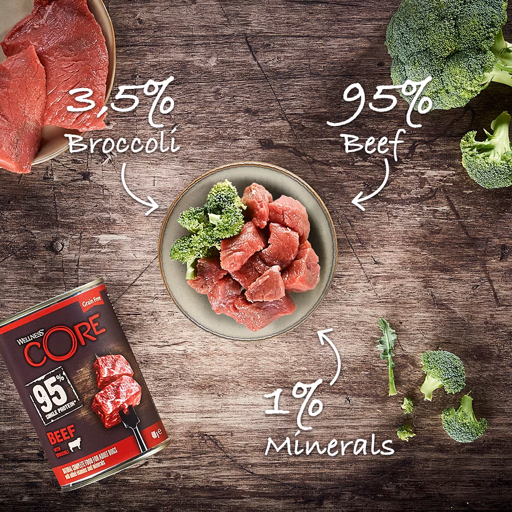 Wellness CORE Dog Adult 95% Single Protein All Breed Beef & Broccoli  400 gram